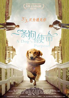 黄视频免费在线观看