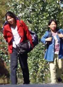 焦作万方电子招采平台