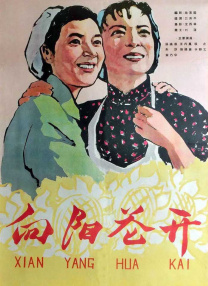 淑女的欲
