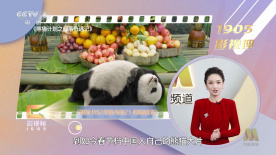 牧神记 在线免费观看